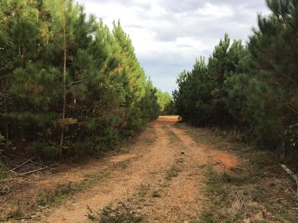 Ranch Property in Saluda County, South Carolina