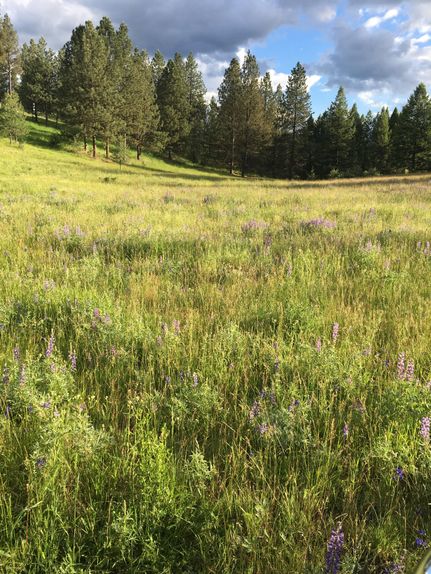 Property in Okanogan County, Washington