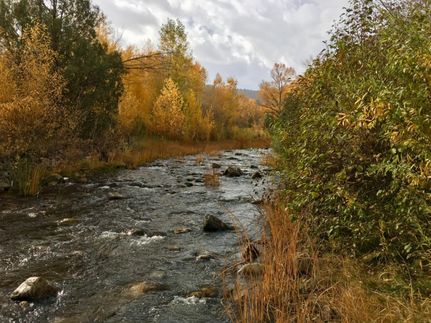 Waterfront Property for sale in Rio Arriba County, New Mexico