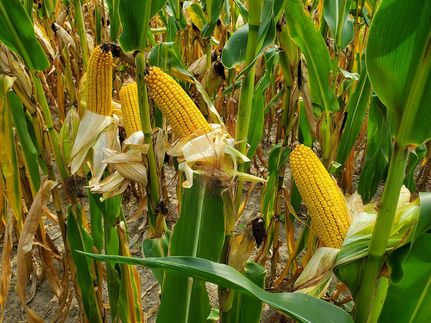 Farm Property in Clark County, Ohio