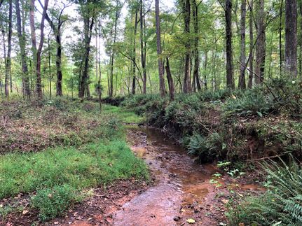 Property in Meriwether County, Georgia