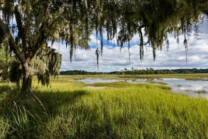 Farm Property in Charleston County, South Carolina