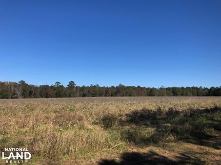Recreational Property in Houston County, Georgia