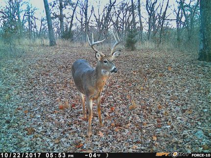 Recreational Property in Benton County, Missouri
