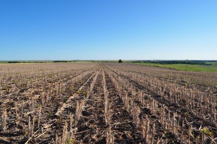 Property in Trego County, Kansas