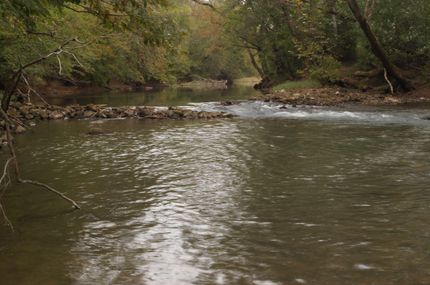 Timberland Property in Sequatchie County, Tennessee