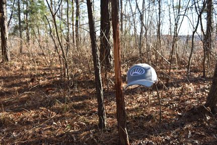 Property in Newton County, Arkansas