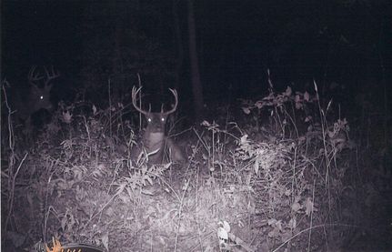 Ranch Property in Jersey County, Illinois