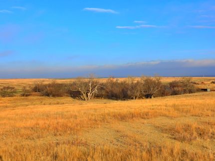Property in Trego County, Kansas