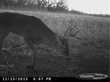 Property in Dickinson County, Kansas