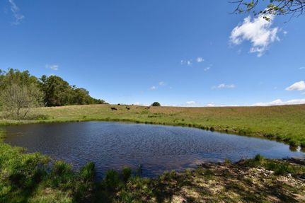 Hunting Land in Ozark County, Missouri