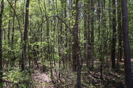 Commercial Property in Prentiss County, Mississippi
