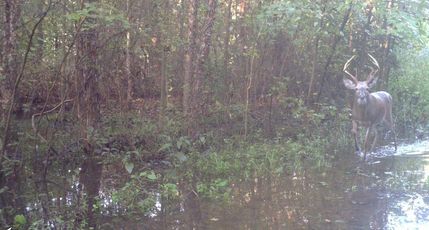 Residential Property in Lenoir County, North Carolina