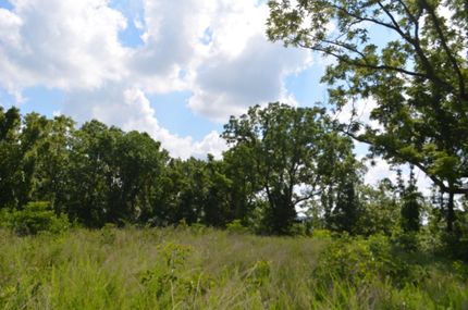 Property in Barry County, Missouri