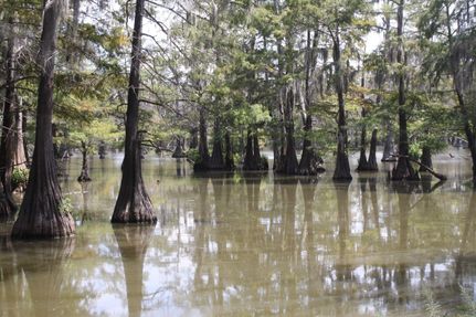 Ranch Property in Franklin Parish, Louisiana
