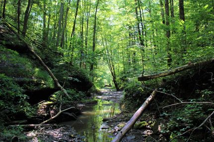 Property in Breathitt County, Kentucky