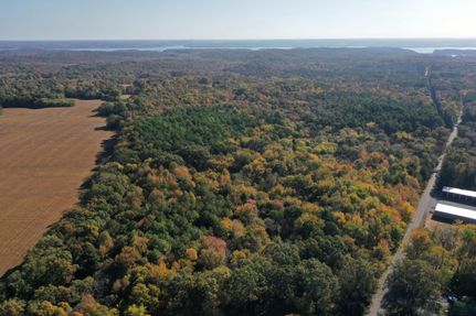 Property in Calloway County, Kentucky