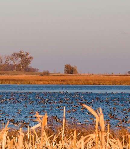 Property in Roberts County, South Dakota