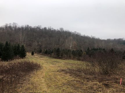 Property in Licking County, Ohio