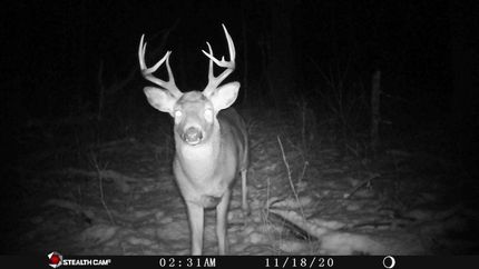 Property in Polk County, Wisconsin