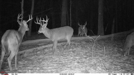 Property in Adams County, Ohio