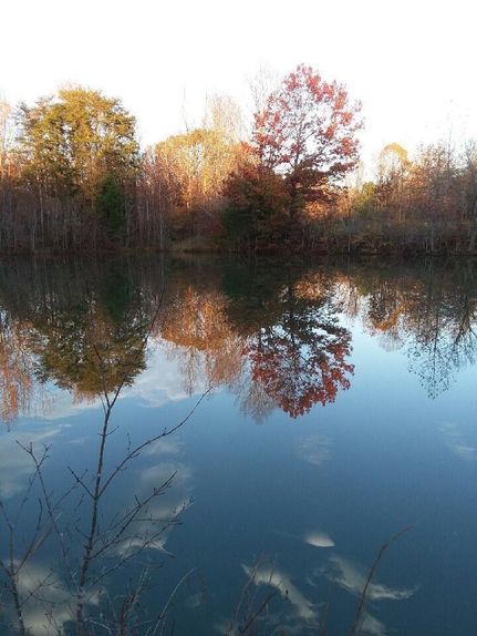 Property in Alamance County, North Carolina