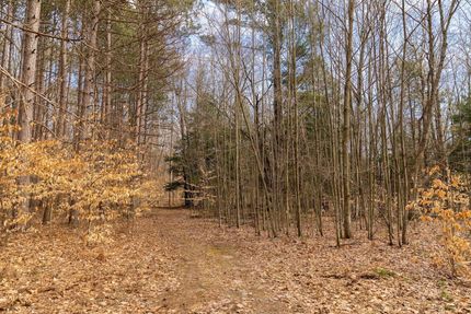 Hunting Land in Oceana County, Michigan