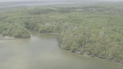 Property in Antrim County, Michigan
