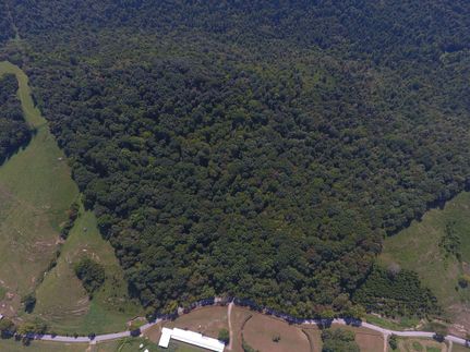 Timberland Property in Macon County, Tennessee