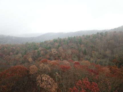 Property in Buncombe County, North Carolina