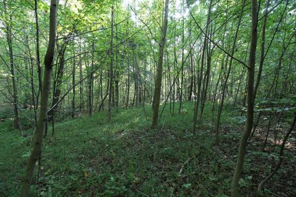 Property in Adams County, Ohio