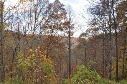 Farm Property in Buchanan County, Virginia