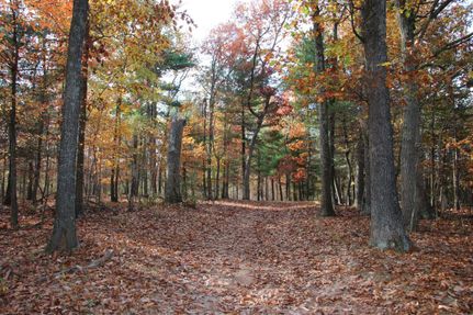 Hunting Land in Frederick County, Virginia