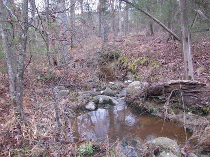 Hunting Land in Alamance County, North Carolina