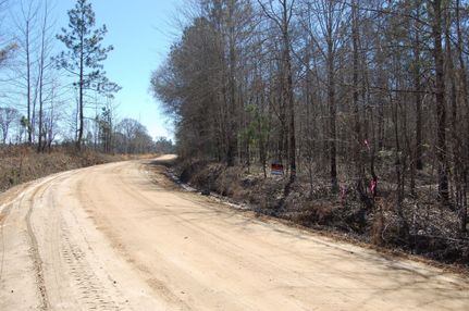 Recreational Property in Laurens County, Georgia