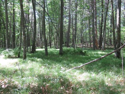 Farm Property in Clearwater County, Minnesota