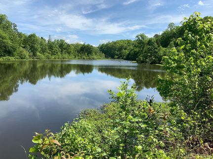 Property in Cherokee County, South Carolina