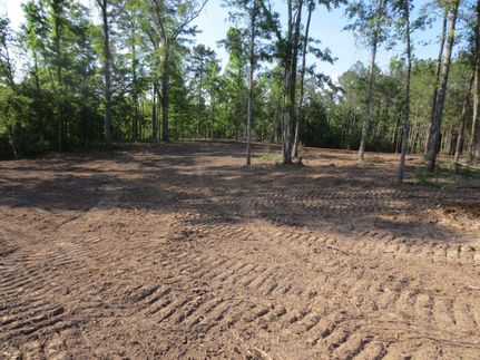 Farm Property in Marion County, Mississippi