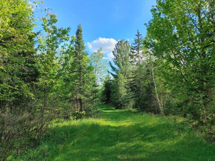 Farm Property in Ashland County, Wisconsin
