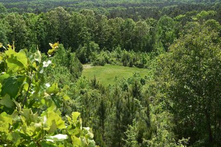 Farm Property in Wilcox County, Alabama