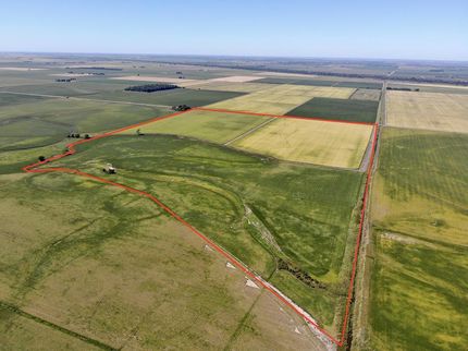 Farm Property in Pemiscot County, Missouri
