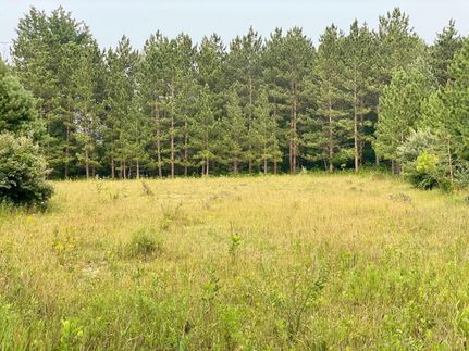 Residential Property in Lapeer County, Michigan