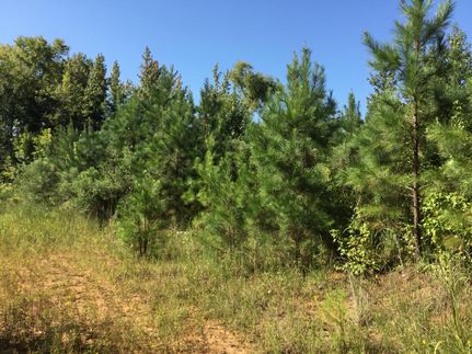 Farm Property in Webster County, Mississippi