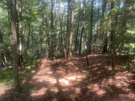 Property in Wilkes County, North Carolina