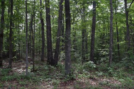 Residential Property in Pulaski County, Kentucky