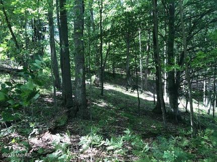 Hunting Land in Mecosta County, Michigan