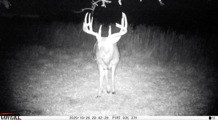 Property in Knox County, Illinois