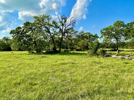 Ranch Property in Burleson County, Texas