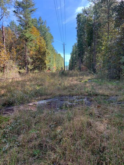 Farm Property in Etowah County, Alabama