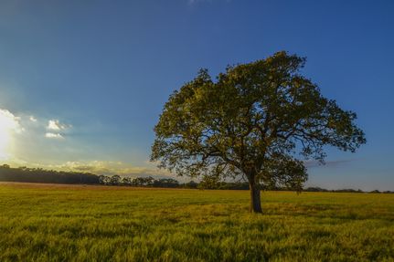 Property in Henderson County, Texas